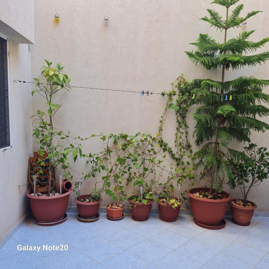 Chez Najib Et Ziad Apartment Темара Екстериор снимка